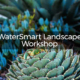 WaterSmart Landscape Workshop