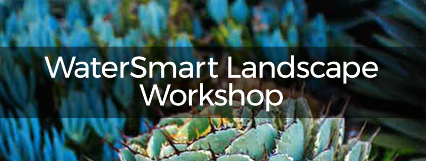 WaterSmart Landscape Workshop